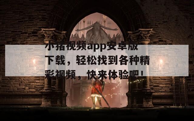 小猪视频app安卓版下载，轻松找到各种精彩视频，快来体验吧！