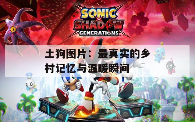土狗图片：最真实的乡村记忆与温暖瞬间